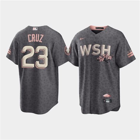 men's washington nationals nike gray 2022 city connect replica jersey|washington city jersey.